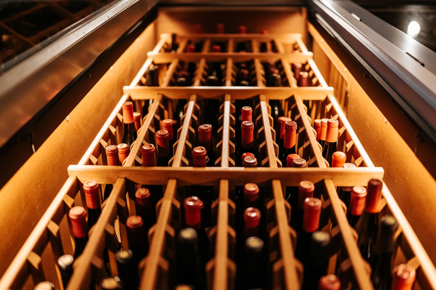 Cava con botellas de vino